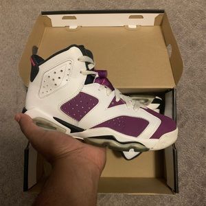 Jordan 6 Grape